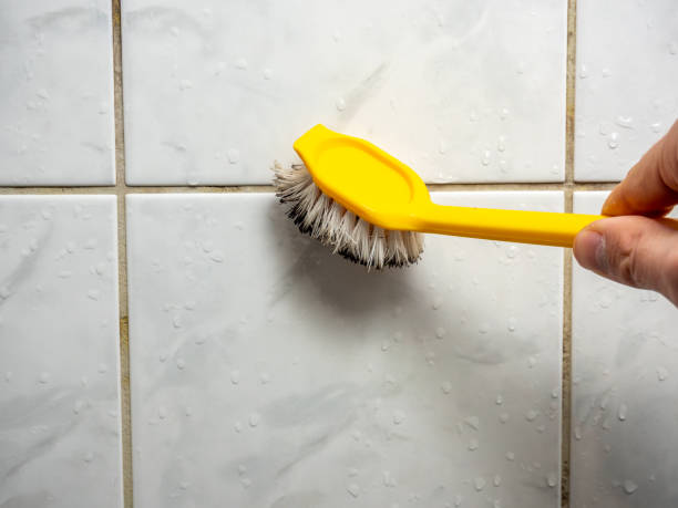 Trusted Burnsville, NC Mold Removal Experts