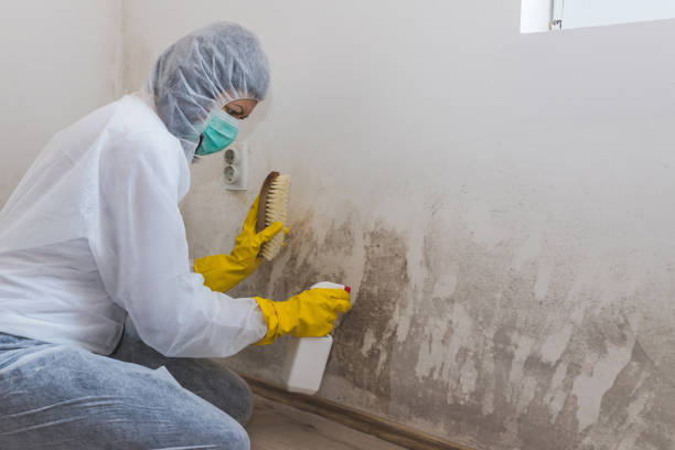 Crawl Space Mold Removal in Burnsville, NC