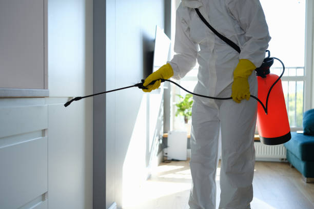 Best Commercial Mold Removal  in Burnsville, NC
